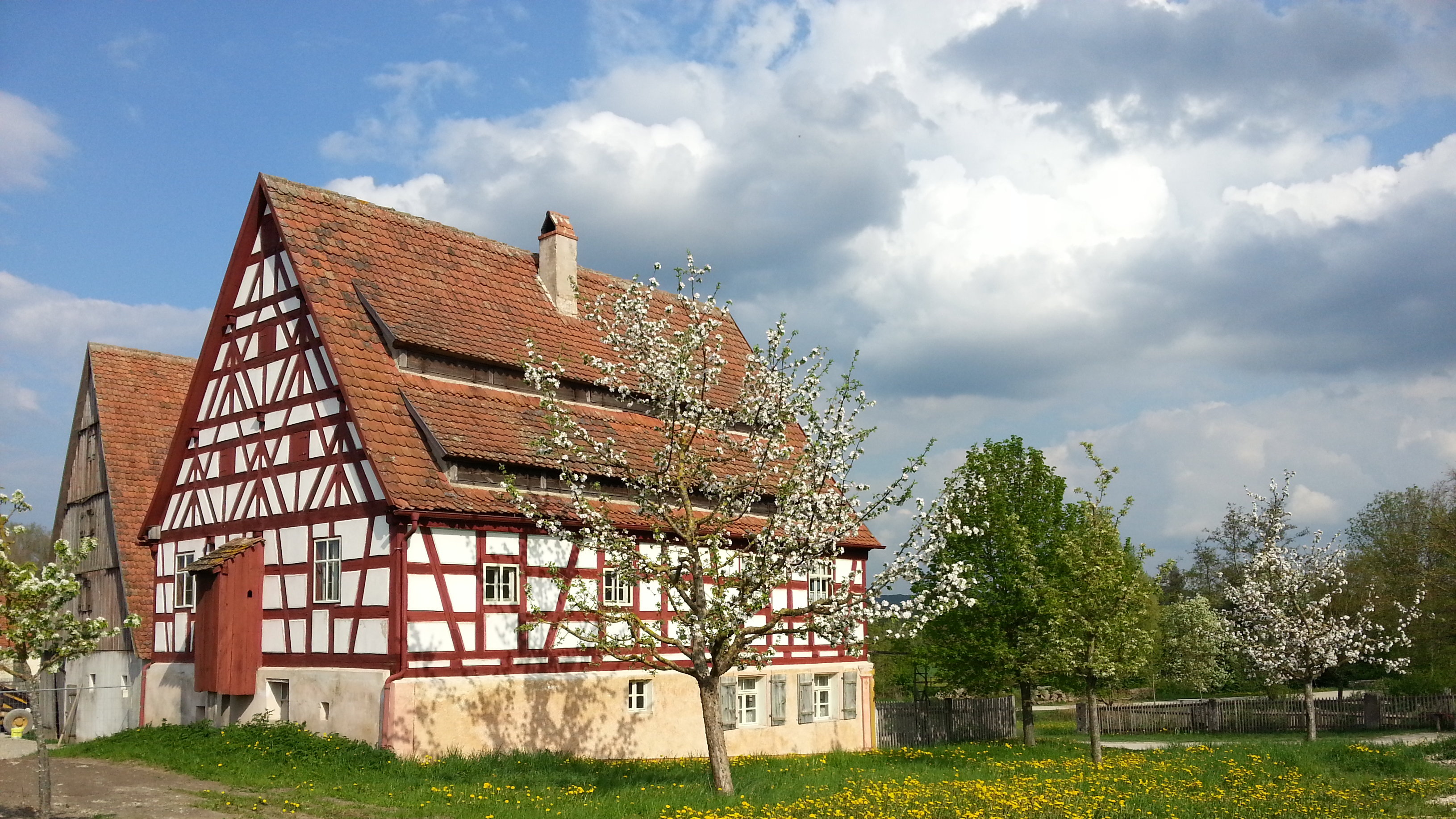 Fotoaufnahme des Hopfenbauernhauses aus Eschenbach am aktuellen Standort. Vor dem Haus befindet sich eine Wiese mit blühenden Löwenzahn und blühenden Bäumen. Hinter dem Fachwerk steht der Hopfenstadel aus Thalheim. Der Himmel ist bewölkt. 